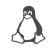 Fernwartung für Linux